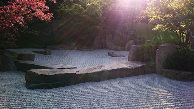 A meticulously designed Japanese garden as a backdrop in a J-Drama scene, featuring a stone lantern, a koi pond with swimming koi, and carefully pruned bonsai trees. The garden is bathed in soft, natural light, creating a serene atmosphere that enhances the emotional depth of the scene between two characters dressed in modern attire, yet seamlessly blending with the traditional surroundings.